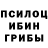 Галлюциногенные грибы Magic Shrooms Joe McDaniel
