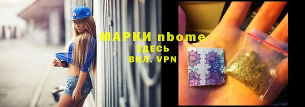 сатива Богородицк