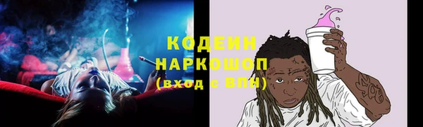 сатива Богородицк