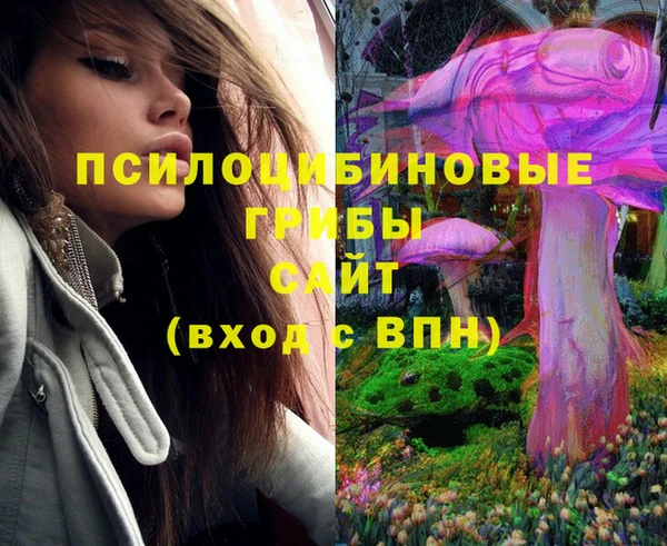 амфетамин Богданович