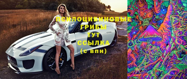 сатива Богородицк